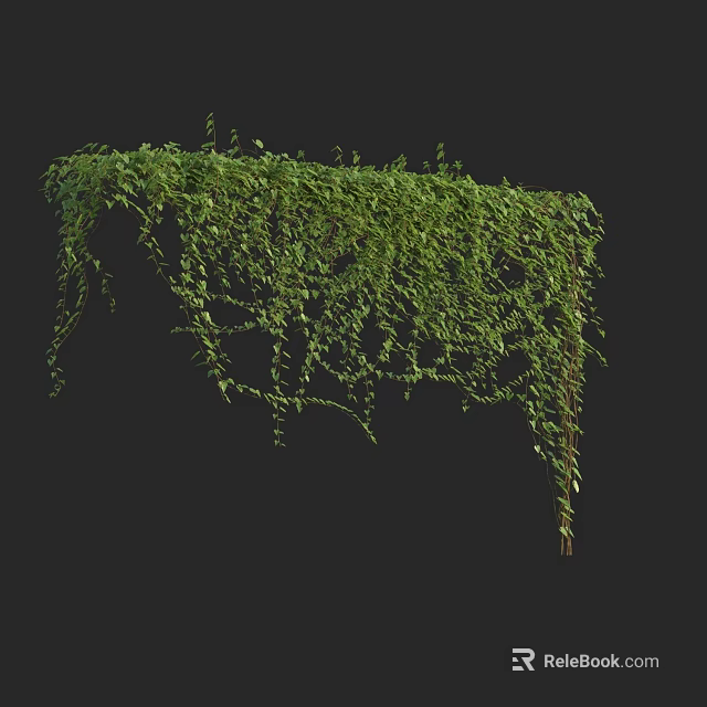 Lush Green Vines With Hanging Leaves And Natural Climbing Foliage Decor 3d model 