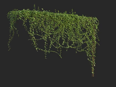 Lush Green Vines With Hanging Leaves And Natural Climbing Foliage Decor 3d model