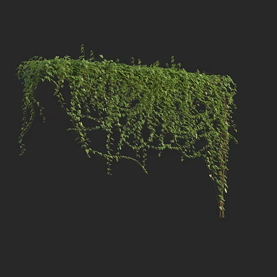 Lush Green Vines With Hanging Leaves And Natural Climbing Foliage Decor 3d model