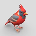 Red and Blue Crested Cardinal Bird with Orange Beak and Claws on Gray Background