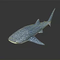 Artistic Blue Whale Shark Sculpture With White Spots And Lifelike Design Details