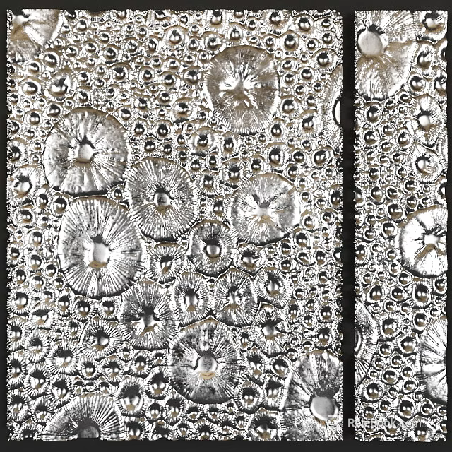 Photo Wall With Silver Circular Bubble Like Texture And Decorative Design Elements 3d model