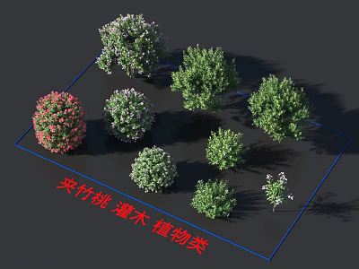 Various Types of Garden Shrubs Including Oleander and Green Leaf Varieties for Landscaping 3d model