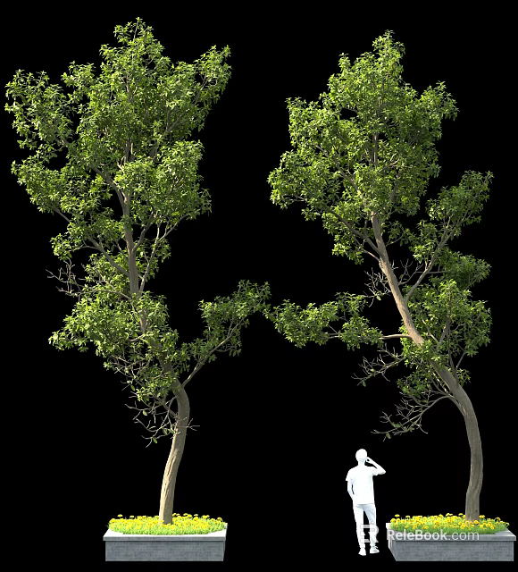 Two Trees With Lush Green Foliage And White Figure On Black Background 3d model 