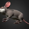 3D Rendered Mouse With Gray Body Large Pink Ears White Belly Whiskers And Black Background