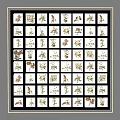 Diverse Dried Plant Specimens Arranged in Grid Display Layout 3d model