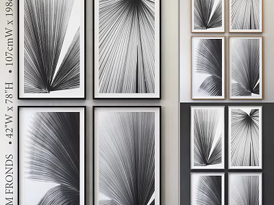 Black and White Leaf Print Frames With Various Sizes For Wall Display Arrangement 3d model