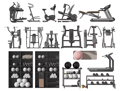Sports Equipment Collection Featuring Treadmill Exercise Bike Weight Machines Dumbbells And Fitness Balls 3d model