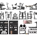 Sports Equipment Collection Featuring Treadmill Exercise Bike Weight Machines Dumbbells And Fitness Balls