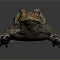 3D Model of a Brown and Yellow Toad with Red Eyes Crawling on Dark Surface