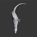 Transparent Dinosaur Skeleton Model With Realistic Anatomical Detail And Clear Structure