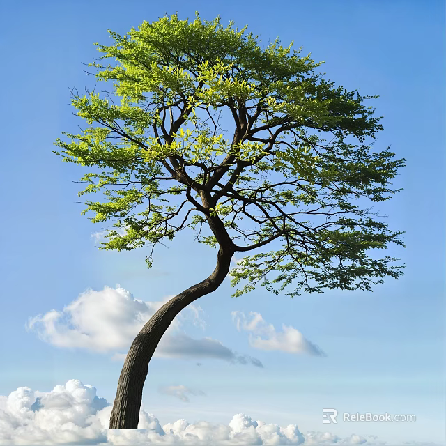 Curved Trunk Arbor With Green Leaves Against Blue Sky And White Clouds 3d model 