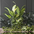 Flowers And Green Plants With Tropical Leaves Water Reflection Against Dark Wall
