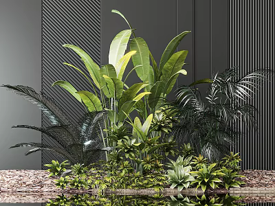 Flowers And Green Plants With Tropical Leaves Water Reflection Against Dark Wall 3d model