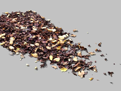 Colorful Dried Petals And Leaves Mix For Household Decor Supplies 3d model