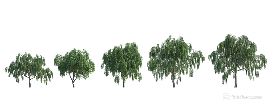 Three Weeping Willow Trees With Green Drooping Branches For Garden Landscape 3d model 