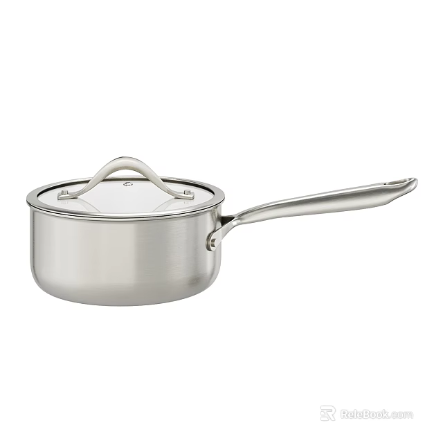 Stainless Steel Saucepan With Lid And Handle 3d model 
