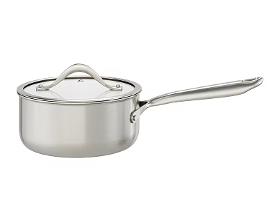 Stainless Steel Saucepan With Lid And Handle 3d model