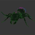 Detailed Black and Red Spider With Long Legs Hairy Body On Dark Background