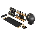 Modern Home Gym Equipment Set With Black Gold Dumbbells Exercise Ball Yoga Mat And Shelves