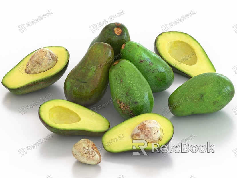 avocado fruit model