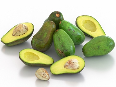 avocado fruit model