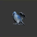 Flying Animal Blue Bird With Spread Wings And Shiny Feathers On Dark Background