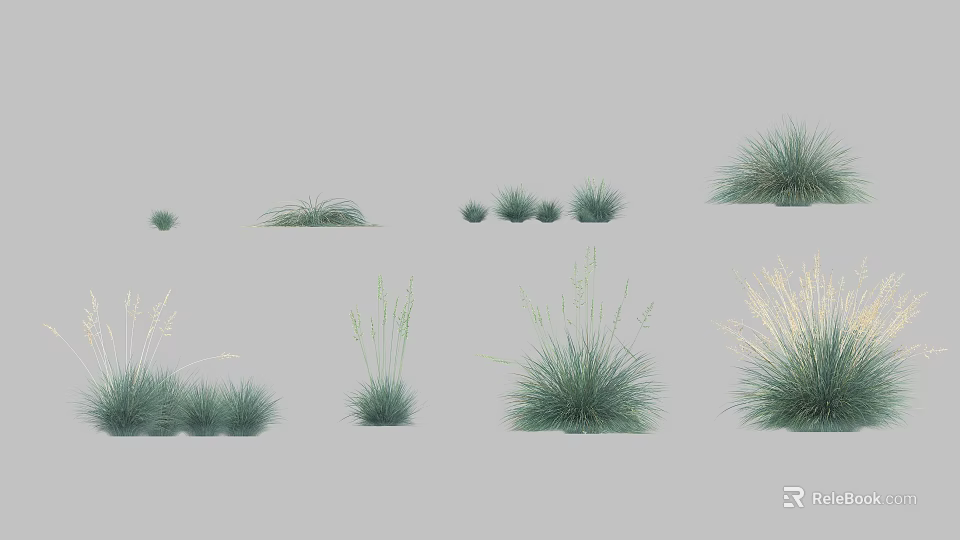Various Ornamental Grass Varieties with Diverse Heights and Leaf Shapes 3d model 