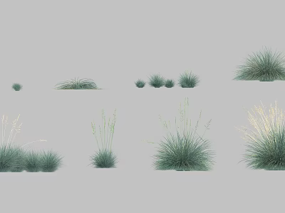 Various Ornamental Grass Varieties with Diverse Heights and Leaf Shapes 3d model