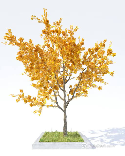Beautiful Tree With Golden Autumn Leaves Slender Trunk And Lush Branches 3d model 