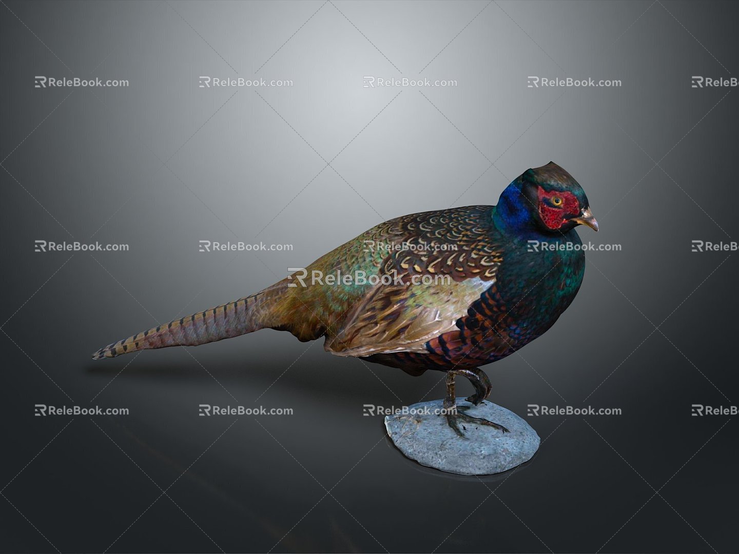 Pheasant Bird Bird Bird Bird Animal Game Animal Cartoon Animal Animal 3d model