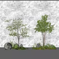 Arbor Trees With Green Leaves Surrounded By Stones Ferns And Natural Landscape