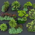 Diverse Flowers And Plants Collection With Palm Trees Shrubs And Colorful Blooms