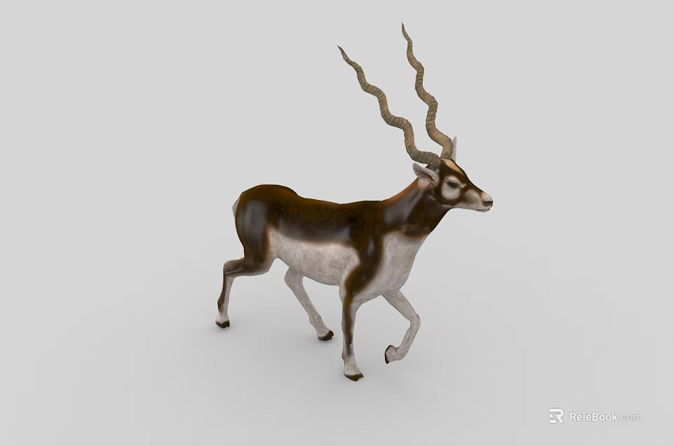 Brown And White Reptile With Long Curved Horns Walking On Gray Background 3d model 