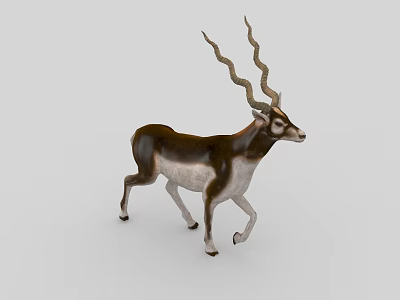 Brown And White Reptile With Long Curved Horns Walking On Gray Background 3d model