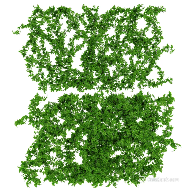 Lush Green Decorative Vines With Dense Leaves For Natural Design 3d model 