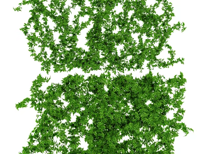 Lush Green Decorative Vines With Dense Leaves For Natural Design 3d model