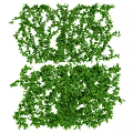 Lush Green Decorative Vines With Dense Leaves For Natural Design