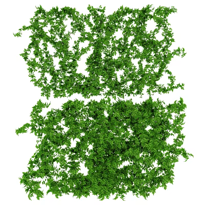 Lush Green Decorative Vines With Dense Leaves For Natural Design 3d model