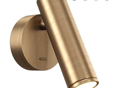 Sleek Modern Brushed Brass Wall Lamp with Cylindrical Body and Round Mounting Plate 3d model