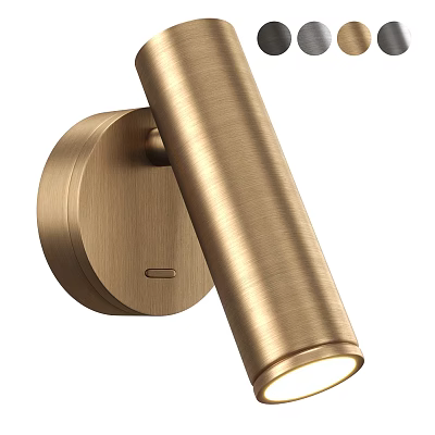 Sleek Modern Brushed Brass Wall Lamp with Cylindrical Body and Round Mounting Plate 3d model