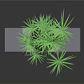 Green Leafy Potted Plant In Brown Pot On White Platform With Gray Background
