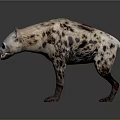 Spotted Hyena Standing on Gray Background with Open Mouth and Realistic Fur