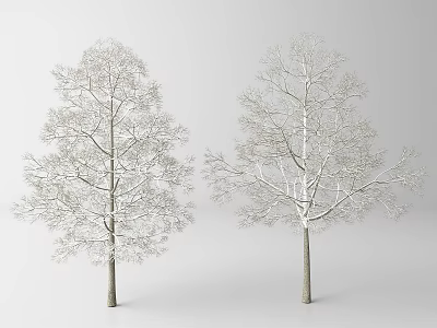 Two Snow Covered Deciduous Trees With Bare Branches On White Background 3d model