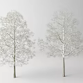Two Snow Covered Deciduous Trees With Bare Branches On White Background 3d model