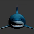 Realistic Blue Shark 3D Model With Detailed Features On Black Background 3d model