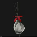 Elegant Flower with Red Petals White Bud Green Stem and Slender Stamens on Black Background