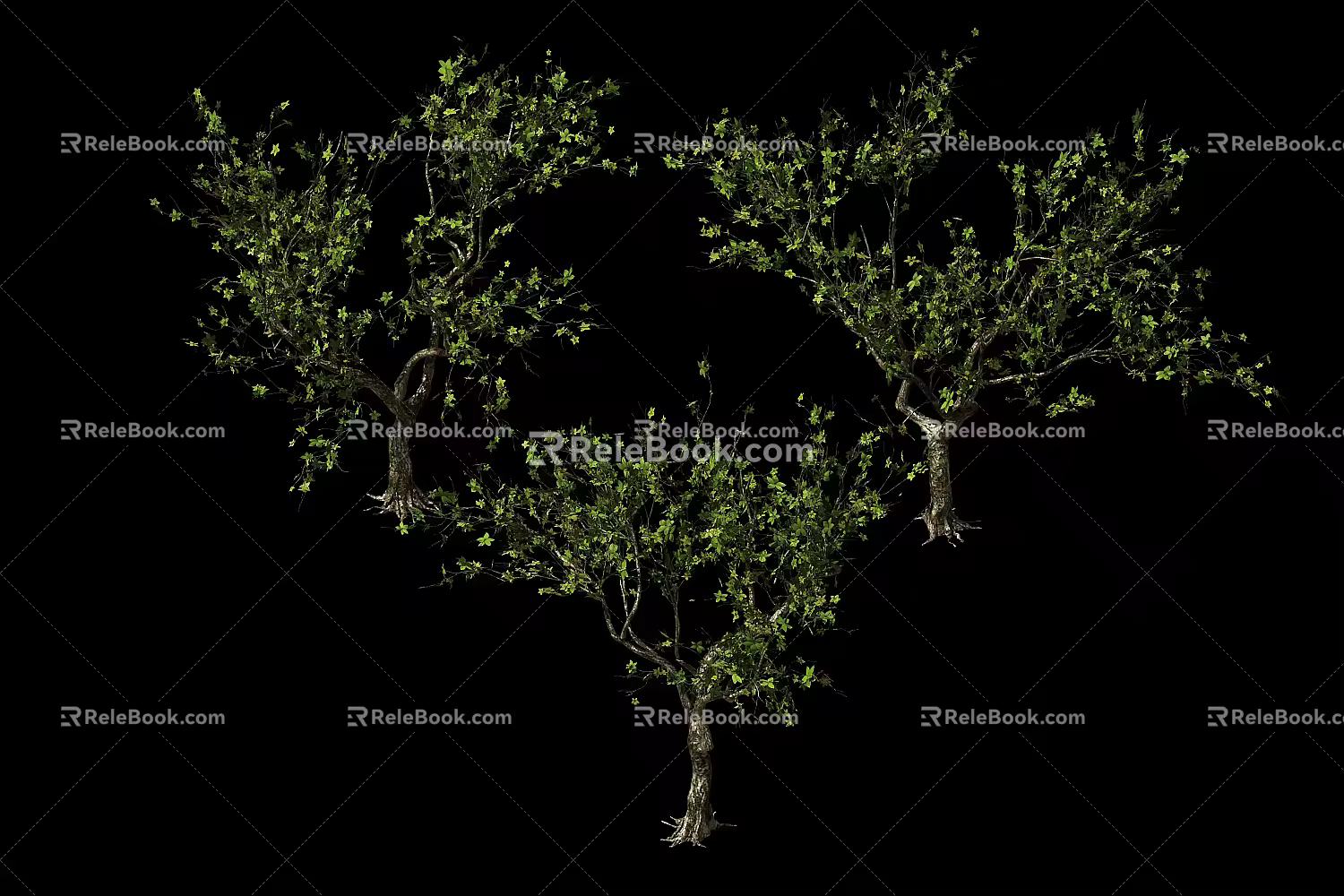 Modern Tree Sycamore 3d model