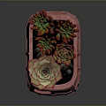 Colorful Succulent Plants In Pink Bus Shaped Planter With Green Red Leaves