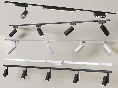 Modern Downlights and Spotlights with Track Design in Black and White Styles 3d model